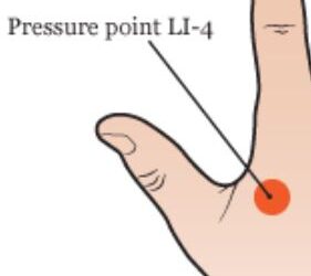 Where Are the Acupuncture Points in the Body?